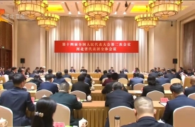 出席十四届全国人大二次会议 河北省代表团召开全体会议