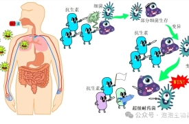 超级细菌是如何诞生的？